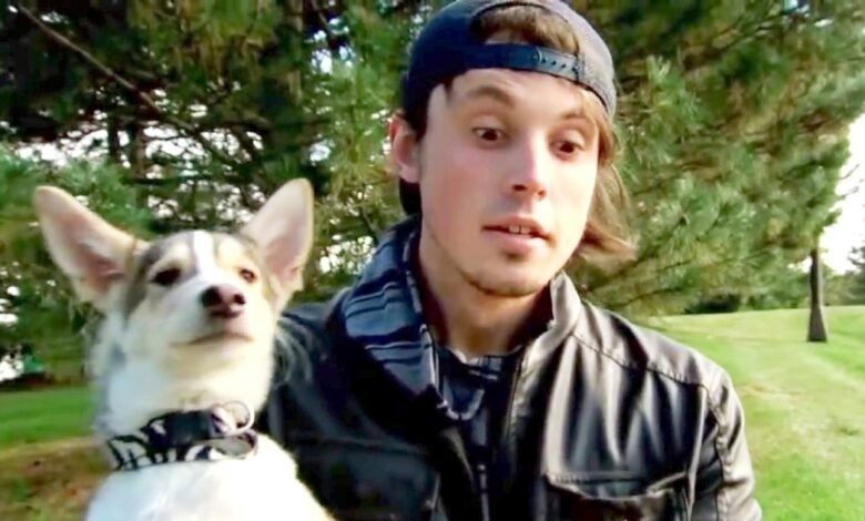 Man travels 1,500 miles to adopt a dog, but has no money to return home