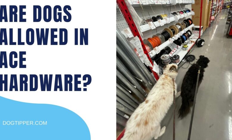 Does Ace Hardware Allow Dogs?