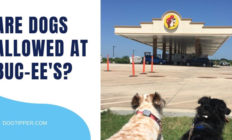 Are Dogs Allowed at Buc-ee