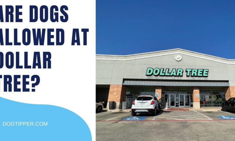 Are Dogs Allowed at Dollar Tree?