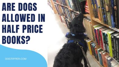 Are dogs allowed in Half Price Books?