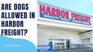 Is Harbor Freight dog friendly?