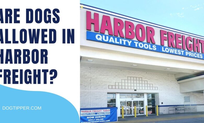 Is Harbor Freight dog friendly?