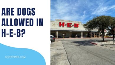 Are dogs allowed in HEB?  (2022)