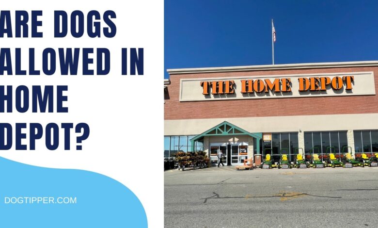 Are dogs allowed in Home Depot stores in the US? In Canada?