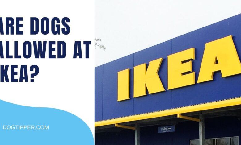 Are dogs allowed at IKEA?