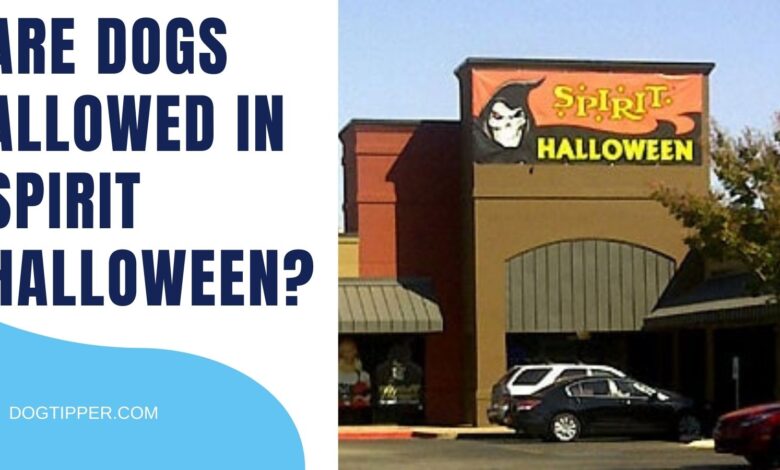 Is Spirit Halloween dog friendly?