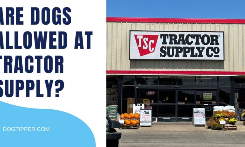 Are Dogs Allowed in Tractor Supply?