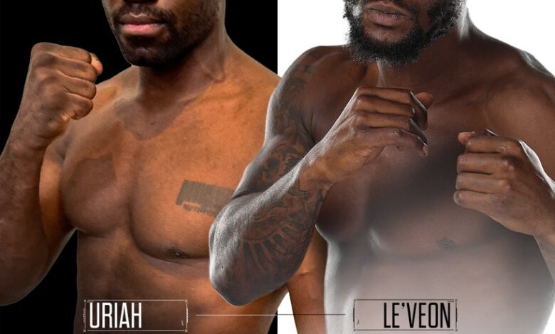 LeVeon Bell Of NFL Fame To Box Former UFC Hall of Fame Notable Uriah On The Card By Jake Paul-Anderson Silva