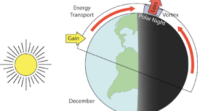 Meridional Transport, the most fundamental climate variable – Watts Up With That?