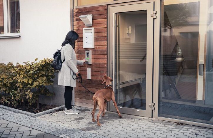 What is a Dog Friendly Apartment?  - Dogster