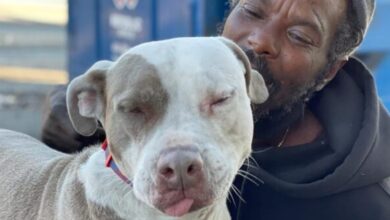 Homeless man saves every animal in the shelter