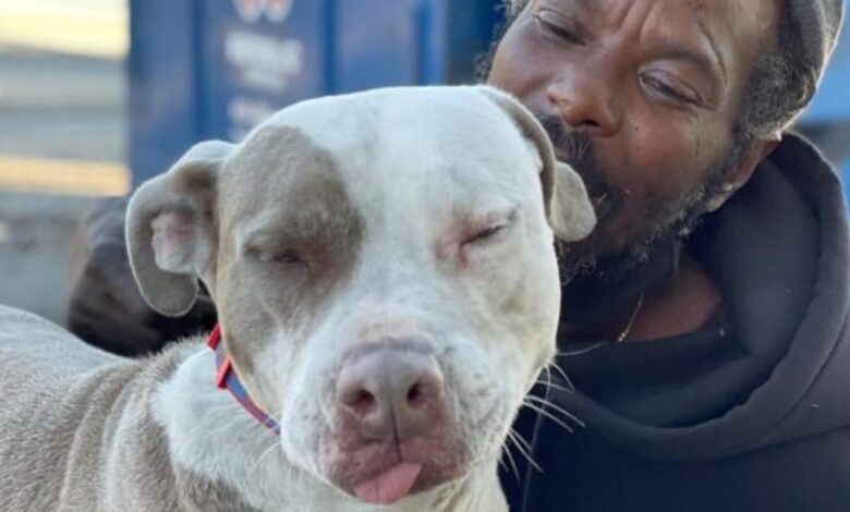 Homeless man saves every animal in the shelter