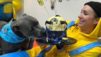 Mother dog goes to great lengths to throw her Pup a Minion themed birthday present