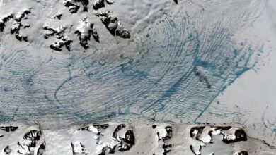 Seasonal change in Antarctic ice sheet motion observed for the first time - Is it increasing?