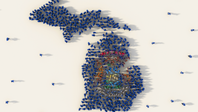 Michigan HIE Partners for Post-Acute Care Interoperability
