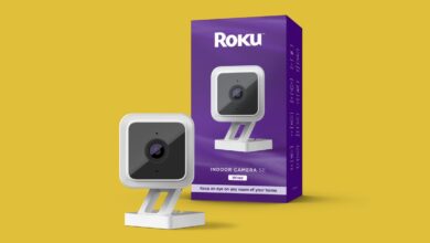 Roku's smart camera lets you keep an eye on your yard