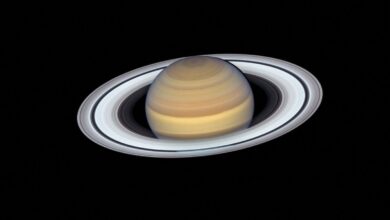Scientists synthesize Cassini's unique observations of Saturn's rings