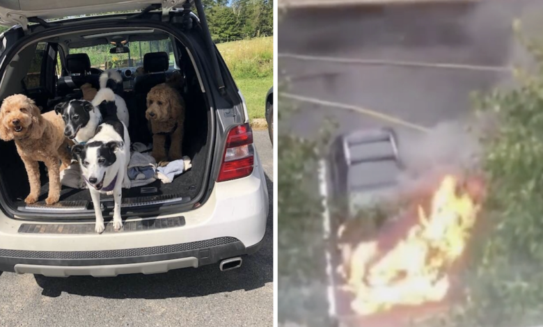 Man risked his life to save dog from burning car