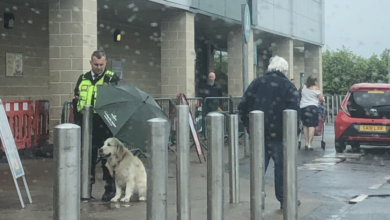 Guard becomes hero after protecting dog from rain