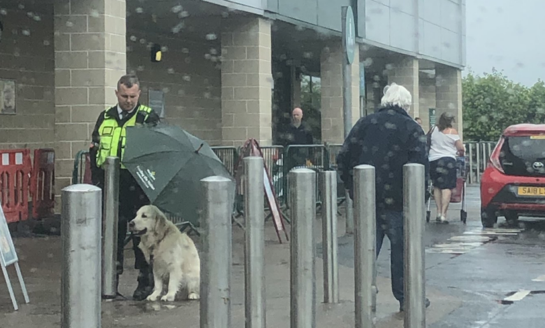 Guard becomes hero after protecting dog from rain