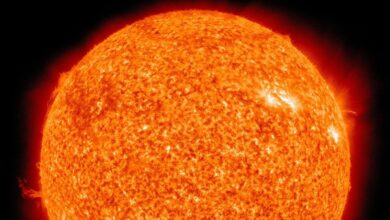 Can solar storms be dangerous to humans?  Find out here
