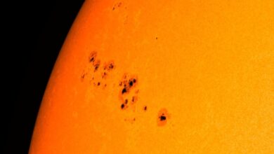New Sunspot Could Cause Dangerous Sunbeams on Earth - Rise to That?