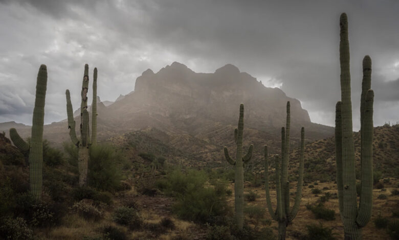 Why you should capture inclement weather when photographing landscapes