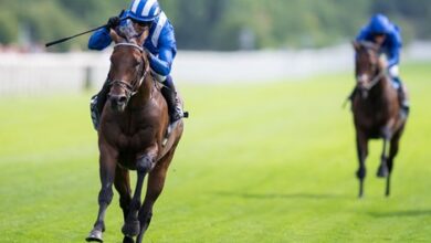 Champion bet on final for Baaeed