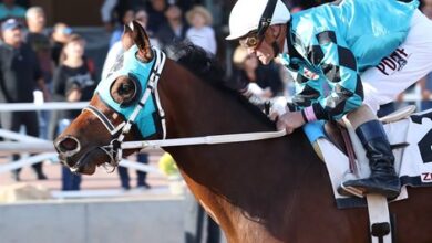 Slammed looking to step up in Thoroughbred Club of America