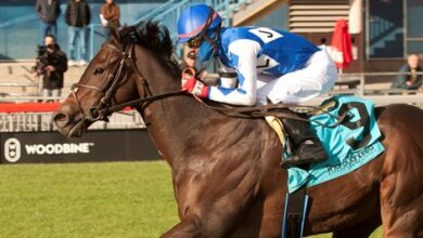Cazadero, Who is the shining star at Woodbine