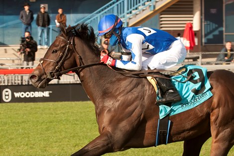 Cazadero, Who is the shining star at Woodbine