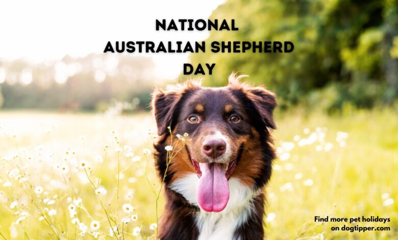 National Australian Shepherd Day