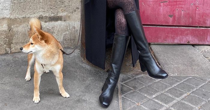 3 types of boots that French women always wear