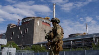 Zaporizhzhia, Europe's largest nuclear plant, returns to power: NPR