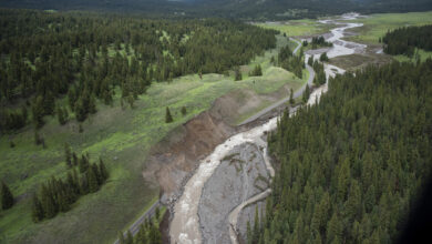 Yellowstone National Park reopens entrance devastated by June floods: NPR