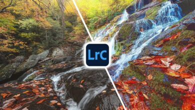 Is your photo over-edited?  Use this little-known Lightroom tool to find out