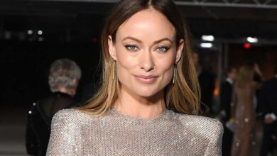 Olivia Wilde wears a gorgeous crystal gown on the red carpet
