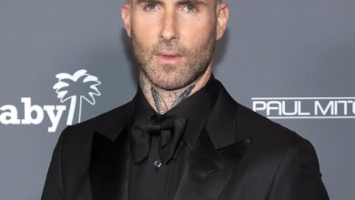 Adam Levine returns to the stage after the scandal with the support of his wife Behati