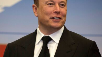 Elon Musk Offers His Daughter Vivian's Alienation Theory