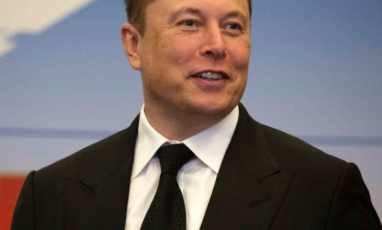 Elon Musk Offers His Daughter Vivian's Alienation Theory