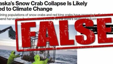 Population collapse destroys Alaskan snow crab season - Media wrongly blamed for climate change - Sharp drop because of that?
