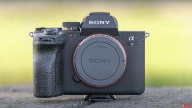 One year with Sony a7 IV . mirrorless camera
