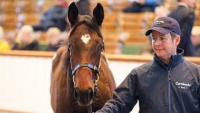 Mohaather, Bated Breath Foals Opening Top Tatts December