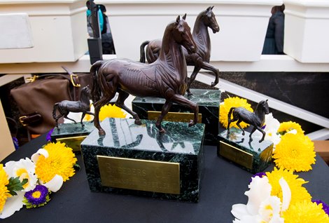 Meet the playing field for Breeders 'Cup Classic 2022 - Slideshow