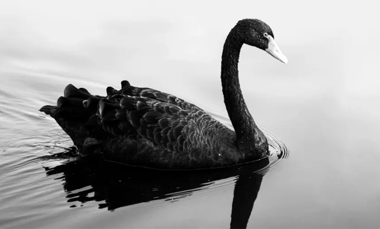 CO2 is Innocent but Clouds are Guilty.  New Science has Created a “Black Swan Event”** – Watts Up With That?
