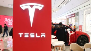 Tesla recalls more than 80,000 cars in China due to software problems, seat belts
