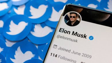 Senator Ed Markey Hits Back at Elon Musk After His Answers To Questions About Impersonation