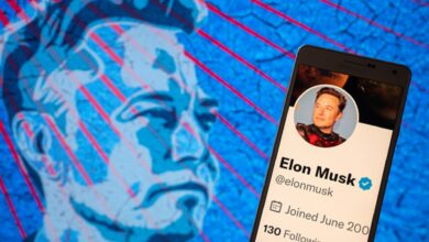 Elon Musk says Twitter is 'amnesty' for suspended accounts
