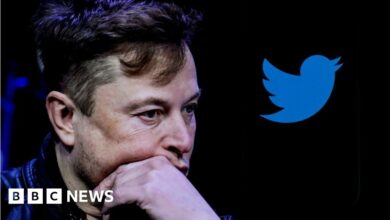 Twitter: Elon Musk blames 'activist groups' for falling income